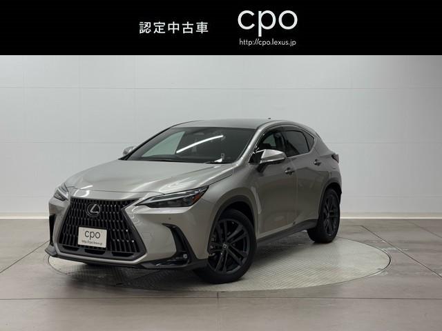 쥯 Σ Σأ衡С̡̣ţĥ饤ȡܳ