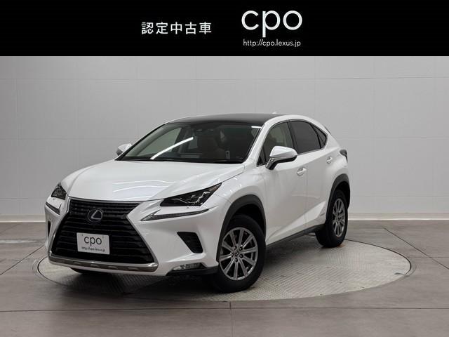 쥯 Σ Σأ衡ɥѥåʥӡԣ֡ʡ