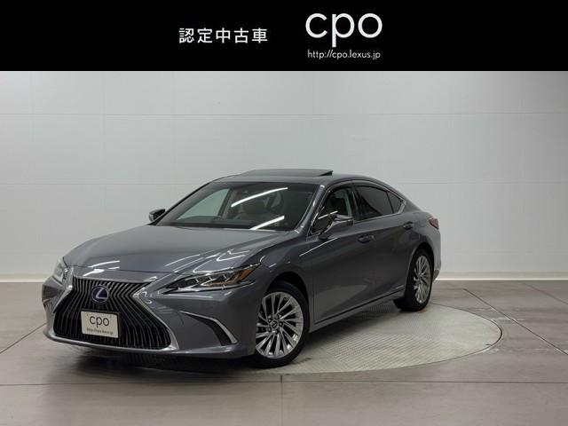 쥯 ţ ţӣ衡С̡ե륻ϥǥԣ֡ץ