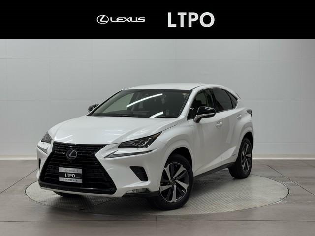 Źˤ˲ǽʤͤΤߤȤĺޤ ̣ԣУϼξ顼إåɥåץǥץ쥤£ӣ 1