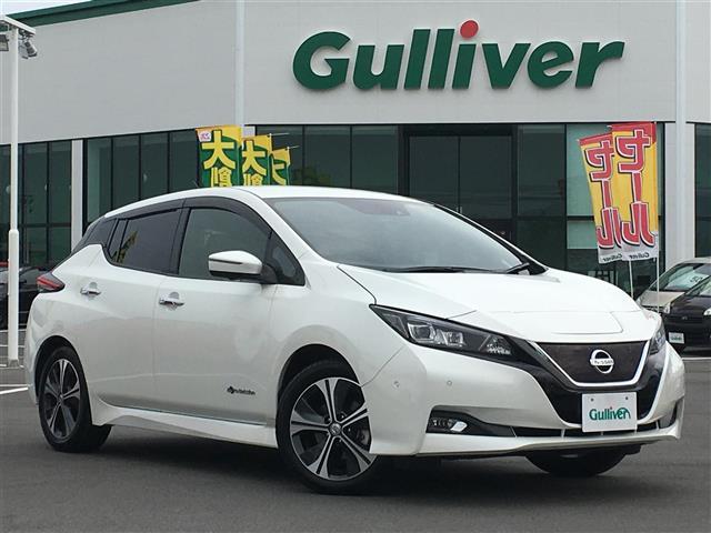 G ワンオーナー/EV専用 ナビ 日産コネクト フルセグ/アラウンドビューモニター/プロパイロット/電動パーキングブレーキ/スマートバックミラーLEDヘッドライト/LEAF充電ケーブル/保証書(1枚目)