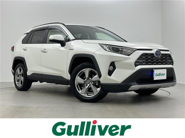 ＲＡＶ４ ハイブリッドＧ　純正９インチナビ　プリクラッシュセーフティ　レーダークルーズコントロール　ルーフレール　ビルドインＥＴＣ　デジタルインナーミラー　オートブレーキホールド　ブラインドスポットモニター　バックカメラ（1枚目）