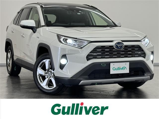 トヨタ ＲＡＶ４ ハイブリッドＧ　寒冷仕様　純正９型ナビ（ＤＶＤ／ＴＶ／ＢＴ）　Ｂカメラ　ムーンルーフ　ルーフレール　電動バックドア　ＢＳＭ　温シート＆ステア　デジタルミラー　ワイヤレス充電　衝突被害軽減　レーダークルーズ　前後録画