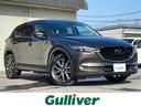 ＣＸ－５ ＸＤ　Ｌパッケージ　４ＷＤ　ＢＯＳＥサウンド　純正ＳＤナビ　ＣＤ／ＤＶＤ／ＳＤ／ＵＳＢ／ＡＵＸ／ＢＴ／フルセグ　サイド・バックカメラ　ＳＣＢＳ　ＢＳＭ　レーダークルーズコントロール　コーナーセンサー　レーンキープ　ＥＴＣ（1枚目）