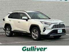 トヨタ　ＲＡＶ４　ハイブリッドＧ　ディスプレイオーディオ　フルセグ　トヨタセーフティセンス