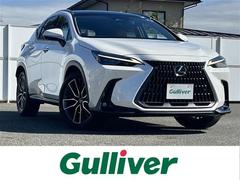 NX NX250 バージョンL パノラマルーフ 14型ナビ 全周囲C DVD再生 フルセグ ヘッドアップディスプレイ BSM メモリ付電動茶本革シート エアシートヒーター 電動リアゲート 前後ドラレコ GPSレーダー パドルシフト 中古車画像