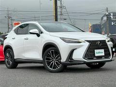 NX NX250 バージョンL 禁煙/ワンオーナー/パノラマサンルーフ/赤黒ツートン革シート/ディーラー整備記録簿R5.6.7/純正ナビ/フルセグ/BT/USB/Miracast/全方位カメラ/ビルトインETC2.0/ドラレコ 中古車画像