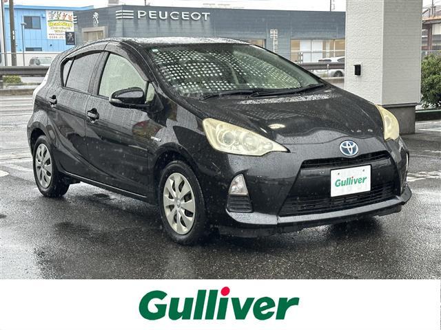 ȥ西  ӡʥӥ󡡥ե륻ƥӡ֥롼ȥ