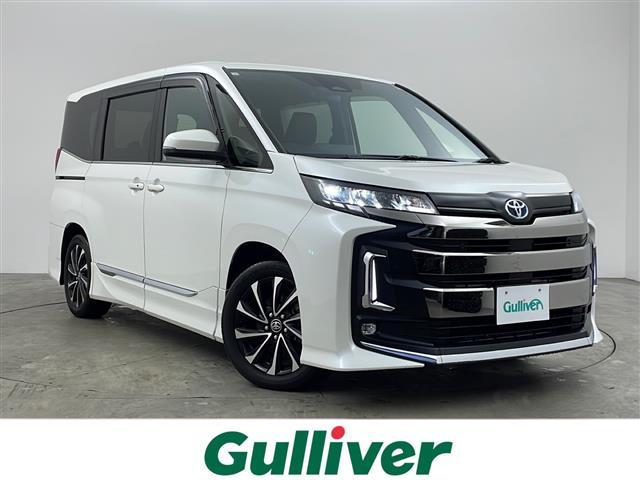 ȥ西 Υ ϥ֥åɣӡݣڡģХå顡ȥ西եƥ