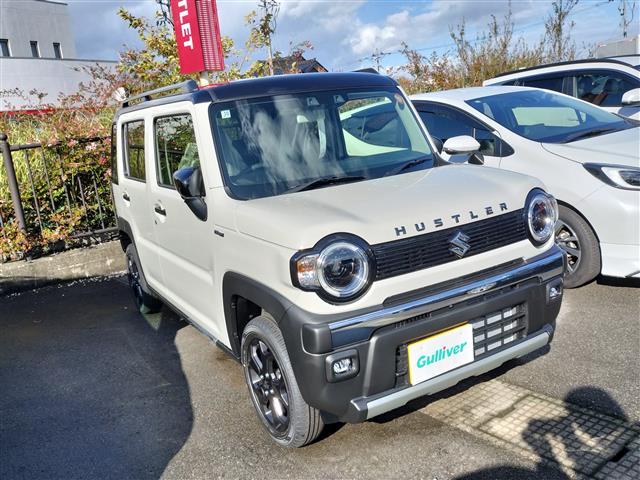 ϥ顼 ե磻 0505591A20251028J001 1