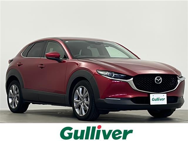 bw|RO(}c_) wc@kpbP[W@ir@su@bc@cuc@u[gD[X@`tw@SʃJ@[_[N[YRg[@Փ˔QyVXe@anrdTEhVXe@XeAOq[^[@U[V[g@V[gq[^[ Îԉ摜