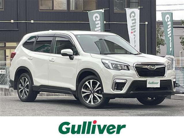 Х ե쥹 ץߥࡡʥӥ󡡥ȡ졼롼ȥ