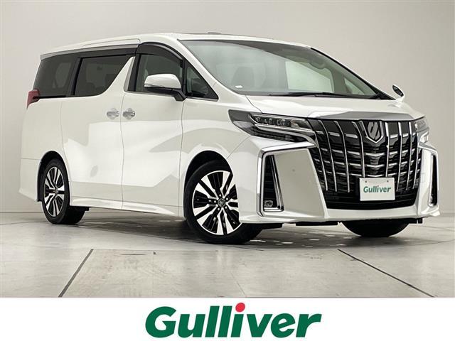 ȥ西 ե ӡåѥạ̊УɣΣŽʥӡեåץ˥