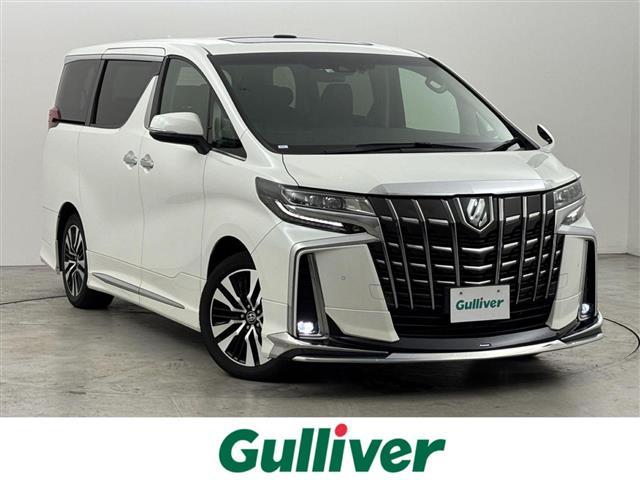 ȥ西 ե ӡåѥåǥꥹĥࡼ롼