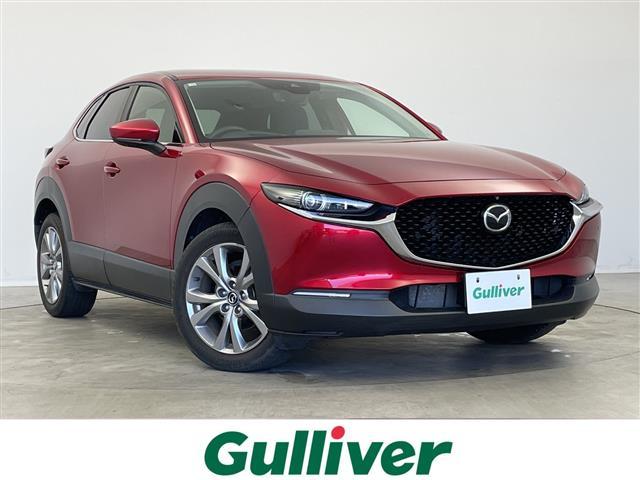 ޥĥ ãءݣ ӡץƥ֡ġ󥰥쥯󡡽ʥ