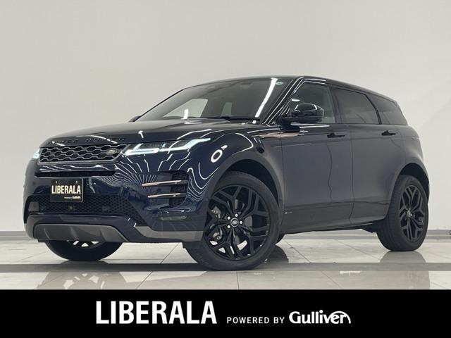 ɥС 󥸥С ҡݥʥߥåӡǥץ쥤ʥӡ̥