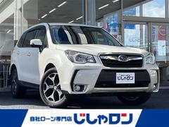 Х롡ե쥹ӡݥߥƥåɡʥӡףġץƥ֥롼ȥ