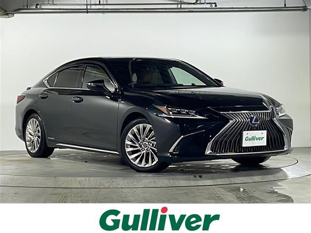 쥯 ţ ţӣ衡С̡ر졡롼