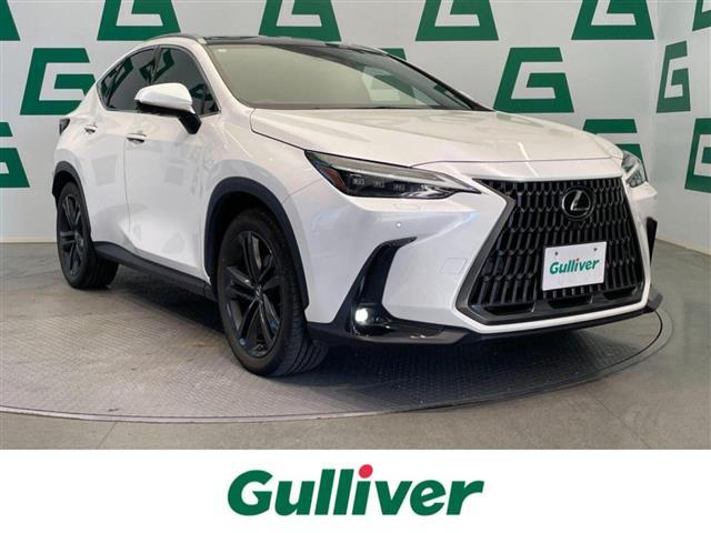 쥯 Σ Σأ衡С̡󥪡ʡر