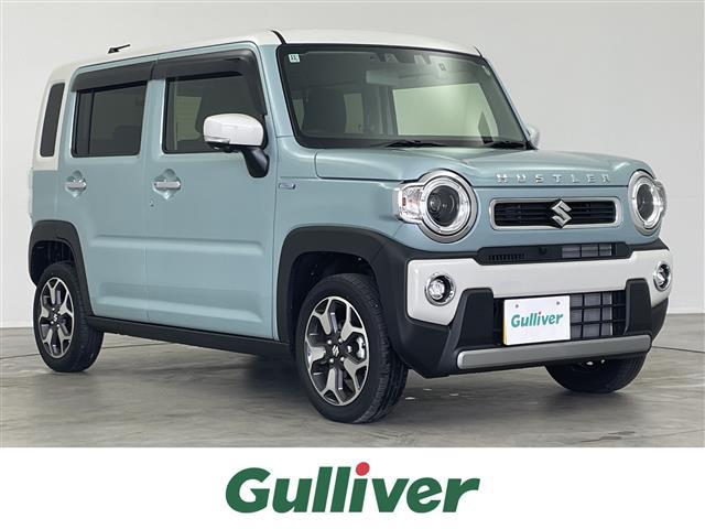  ϥ顼 ϥ֥åɣإܡʥӡ̡ǥ奢֥졼ݡ