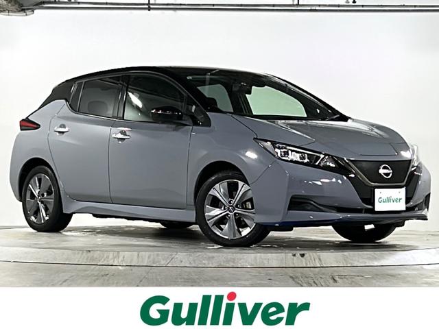 大人気リーフ！ リーフ入荷！リーフのことならおまかせ！