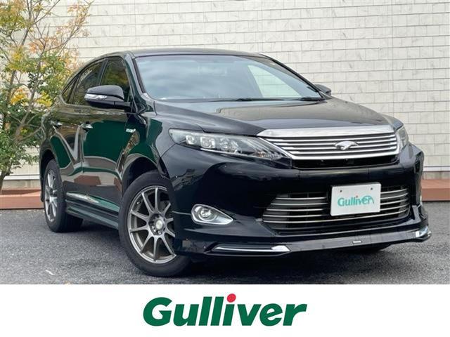 ȥ西 ϥꥢϥ֥å 쥬󥹡ʥӡ롼աХå