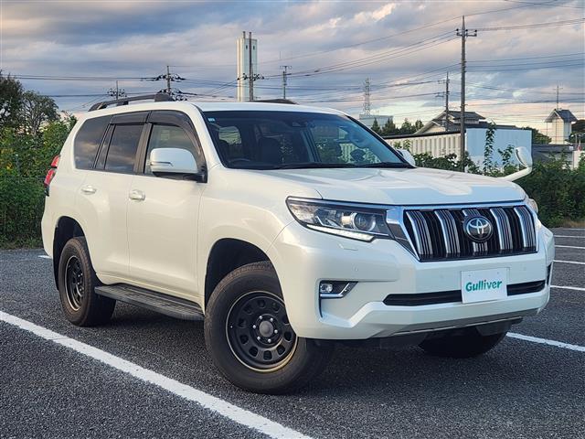 ȥ西 ɥ롼ץ ԣء̥ѥåر֡ࡼ롼