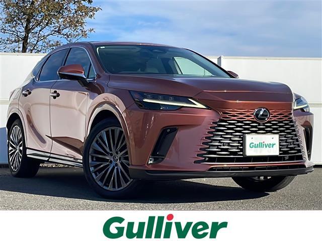 쥯 ң ңأܡС̡롼աǥߥ顼