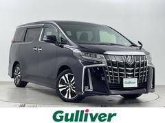 ȥ西եɡӡåѥåǥץ쥤ǥХå