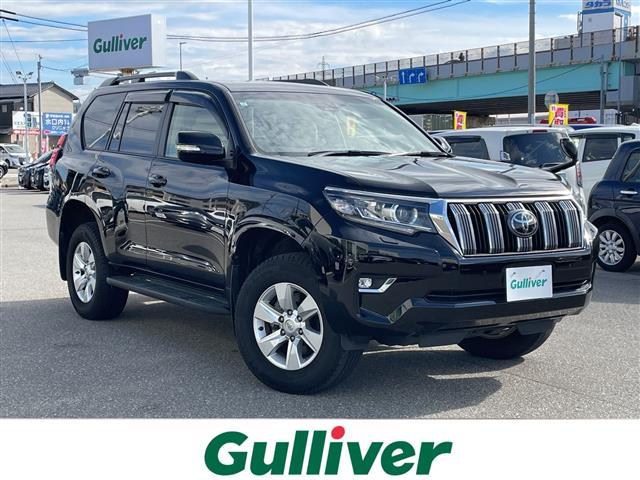 ȥ西 ɥ롼ץ ԣءʥӡե륻ԣ֡Хå