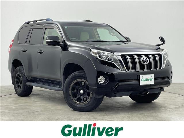 ȥ西 ɥ롼ץ ԣء롼աʥӡͷڸƥ