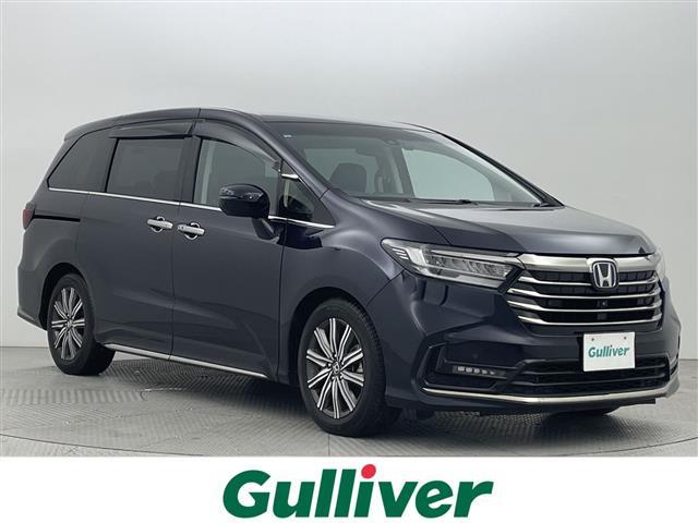 ۥ ǥåϥ֥å 塧ȣţ֥֥롼ȡʥӡ£ԡգӣ