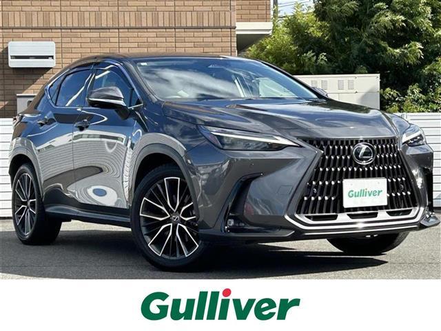 mw(NTX) mwQTO@o[Wk@I[i[irSʃJatZOerR[i[ZT[V[gq[^[GAV[gnhq[^[dV[gN[YRg[dsbQOC`A Îԉ摜