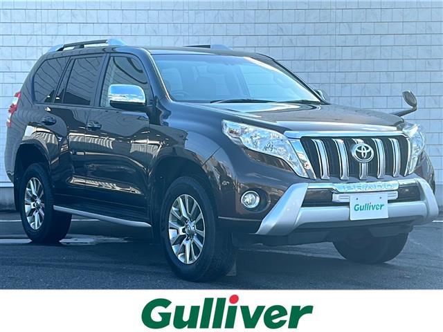 ȥ西 ɥ롼ץ ԣء̥ѥåǡݥեƥࡼ롼