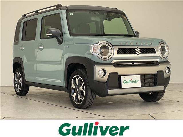  ϥ顼 ʥ륿ܡǥץ쥤ǥʥӡ̥顡졼롼ȥ