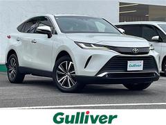 ȥ西ϥꥢǡʥӡХå顡ӥȥţԣ