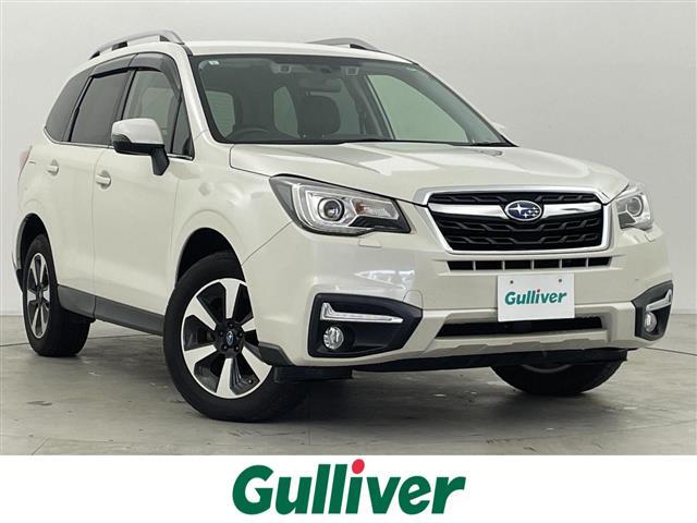 Х ե쥹 ءݥ֥쥤ɥХ󥹥ɥեƥѥååĥꥢʥӡХå˥