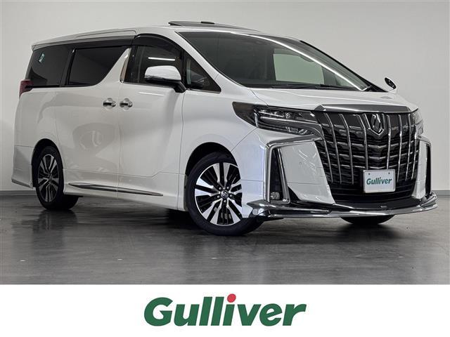 ȥ西 ե ӡåѥåǥꥹĥࡼ롼