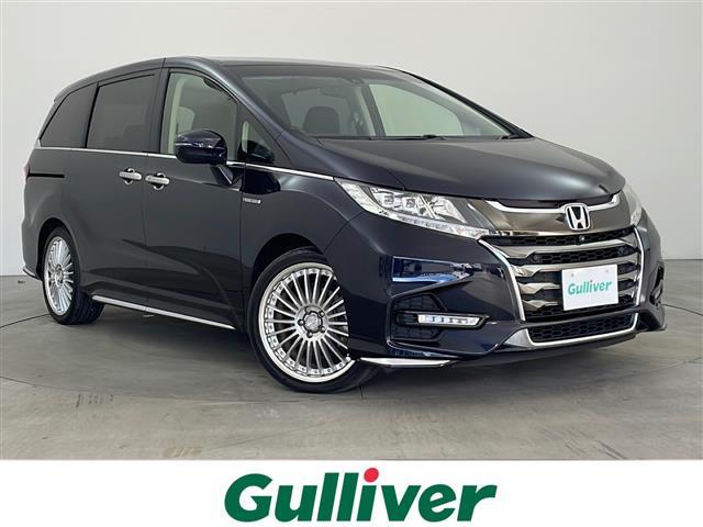 ۥ ǥåϥ֥å ϥ֥åɥ֥롼ȡţإۥ󥷥󥰡󥿡ʥӡեåץ