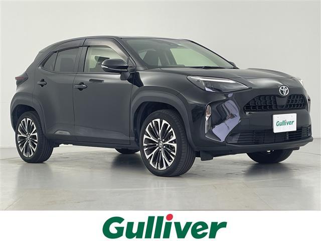 ȥ西 ꥹ ǡر졡ǥץ쥤ǥͷڸ֥졼