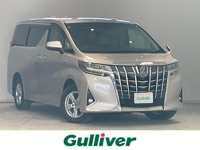 ȥ西 եɥϥ֥å ءףġȥ西եƥ󥹡ǥץ쥤ǥ