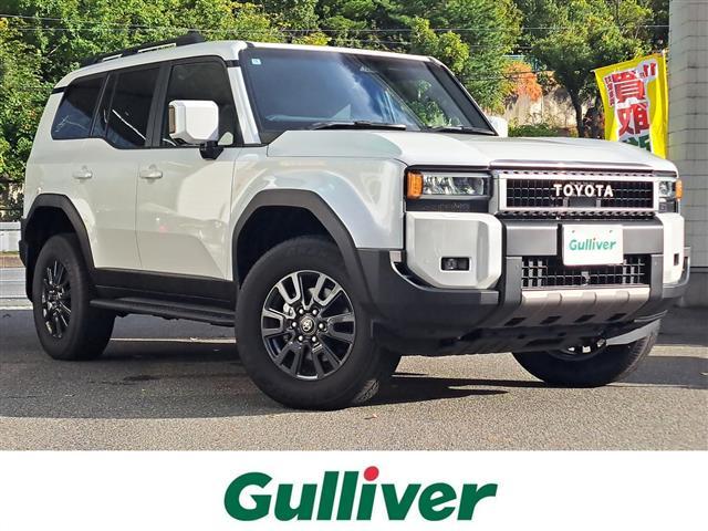 Ź˿͵֥ɥ롼ˤޤ ǥɥ롼õʤ饬СХѥŹ 1