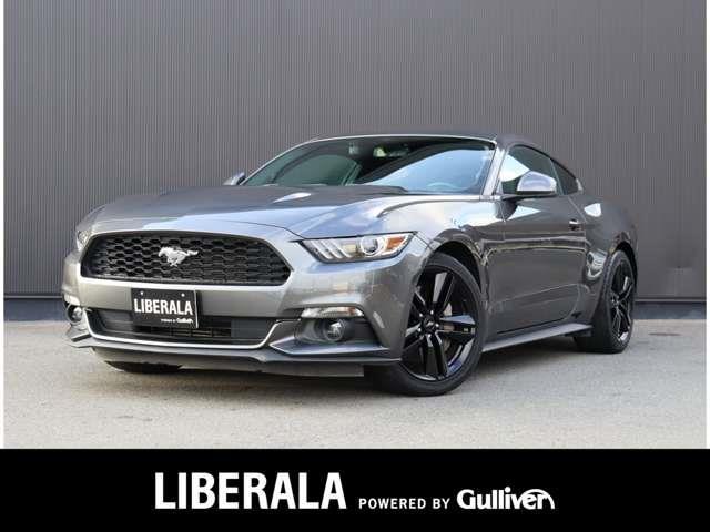 ե ޥ 䡼ǥ󡡺ϥɥ룳ꡡץ