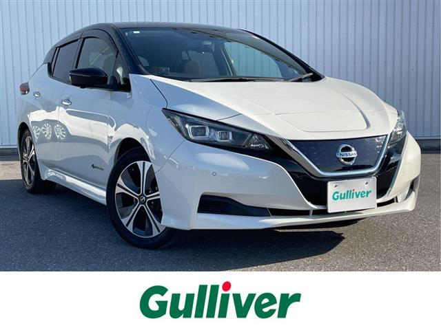  ꡼ ء֥쥯󡡥ץѥåȡʥ