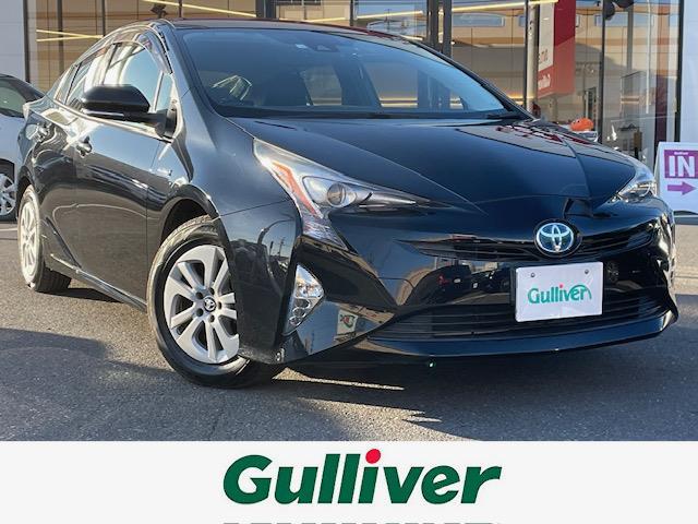 ȥ西 ץꥦ ӡ졼롼¥顡ͷڸ