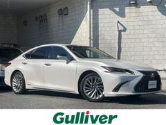 쥯ţӡţӣ衡С̡ʡ