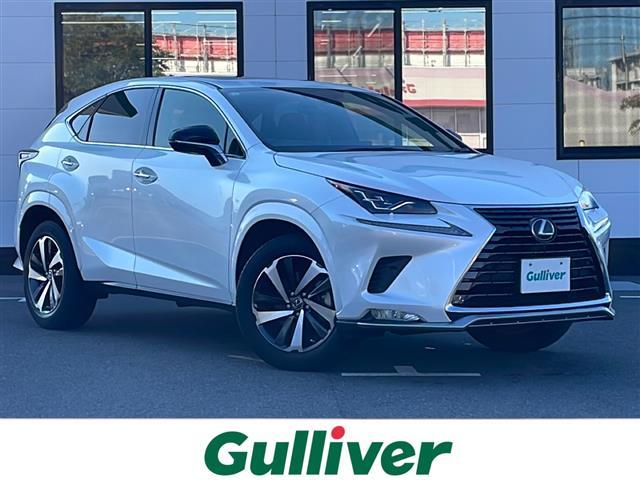 ＮＸ(レクサス) ＮＸ３００　スパイス＆シック　アラウンドビューモニター　ブラインドスポットモニター　ＥＴＣ　ドラレコ　サンルーフ 中古車画像