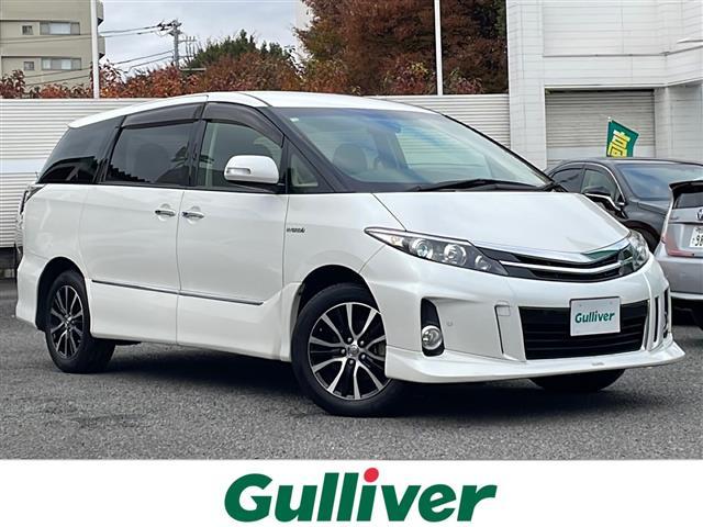 ȥ西 ƥޥϥ֥å 饹쥶ѥå᡼ʥӡեåץ