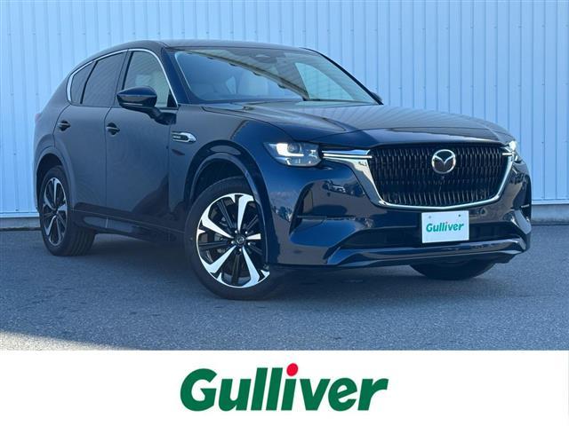 ޥĥ ãءݣ أġݥϥ֥åɡ롼֥󡡣ʥӡե륻ԣ