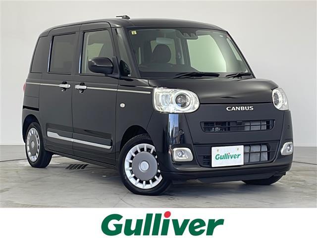 ϥ ࡼХ ꡼ǡϿԵΥǥ顼ץʥӡʥץˡХå